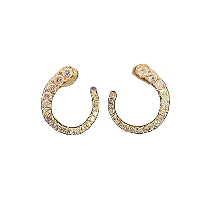 Diamond Earrings