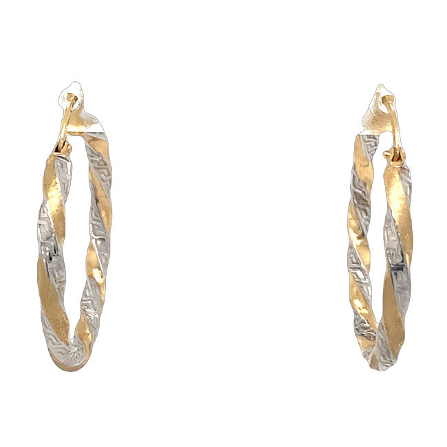 Fancy two-tone Hoops